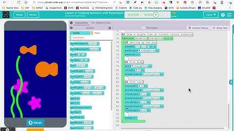 Code.org Turtle Programming 4.11 Tutorial