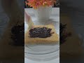 Easy Nutella Pockets 😋 #Nutella Bread Dessert #chocolate #Nutella#viral #shortvideos #trending