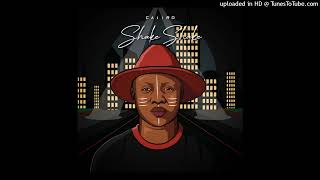 Caiiro  Shake Shake 2022