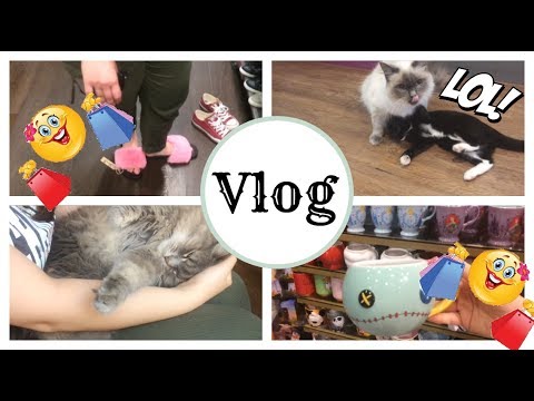 Видео: Храната за кучета и котки на Evanger припомня избрани много продукти от говеждо месо