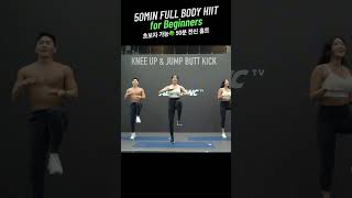 50MIN Full Body HIIT for Beginners | 쉽고 땀나는 운동 여기 있어요! 50분 체지방 삭제 전신 홈트