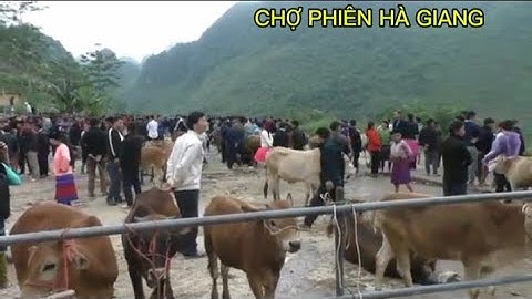 Văn Hóa Chợ Phiên: Nơi truyền thống gặp gỡ hiện đại - Chứng kiến sự kết hợp hấp dẫn ngay bây giờ!