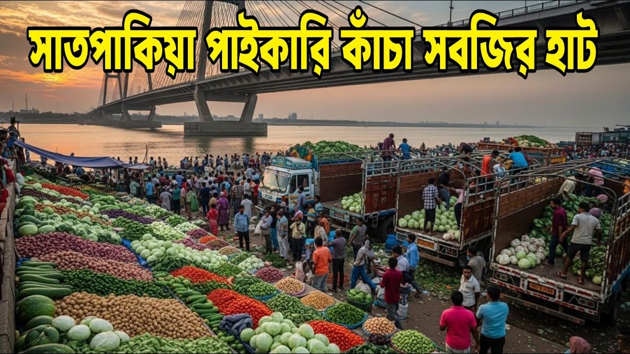 সাতপকিয়া পাইকারি কাচা সবজির পাইকারি কাচাসবজির দর দাম 21/02/2026