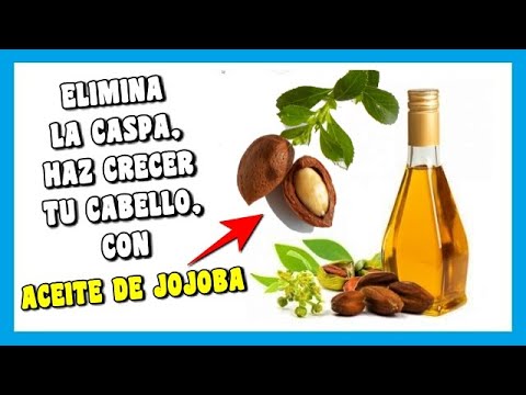 Vídeo: Aceite De Jojoba Para Cabello: Pérdida, Beneficios Y Cómo Usar