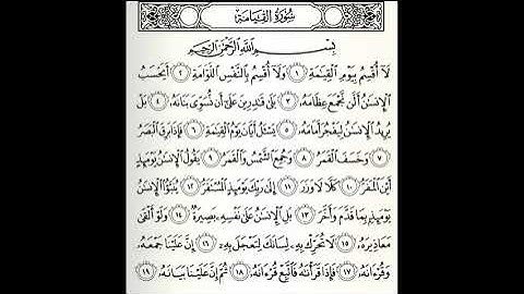 تلاوات مختارة سورة القيامة القارئ علي جريد العنزي