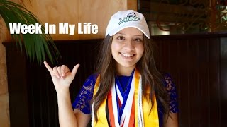 Like & subscribe to see more videos! fgcu orientation experience ➜
https://www./watch?v=qtztwvjbjyy - ...