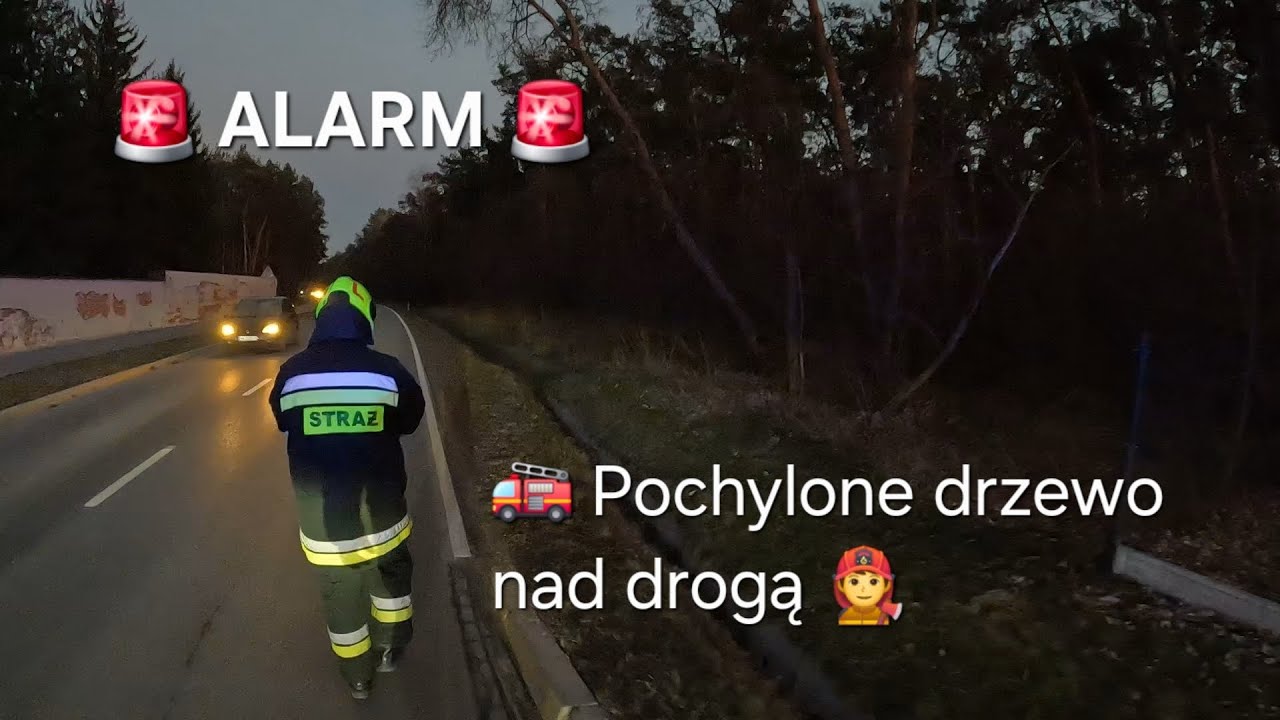 [ALARM] - 🚨 Niebezpiecznie przechylone drzewo nad drogą 🚒
