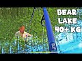 TURNIR NA BEAR LAKE-U UPADAJTE! (40+KG!) | Russian Fishing 4 Live Bear Lake