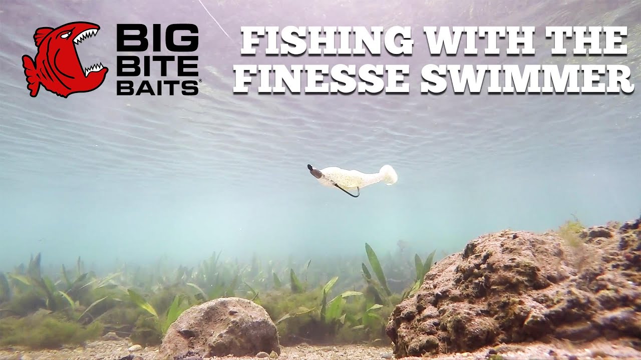 Fishing the Big Bite Baits Finesse Swimmer for Pre-Spawn Bass 