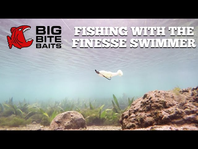 Big Bite Baits Swimbait Guide 