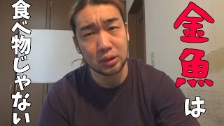 金魚を30匹以上、娘に食べさせた母親逮捕！ペットは食べ物ではない！