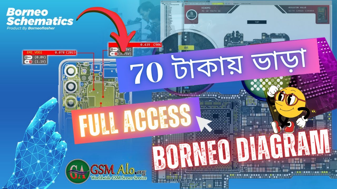 Borneo Schematics Rent ⏱️ ২০-৪০ মিনিট Full Access | কম খরচে Hardware Solution Tool 🔧