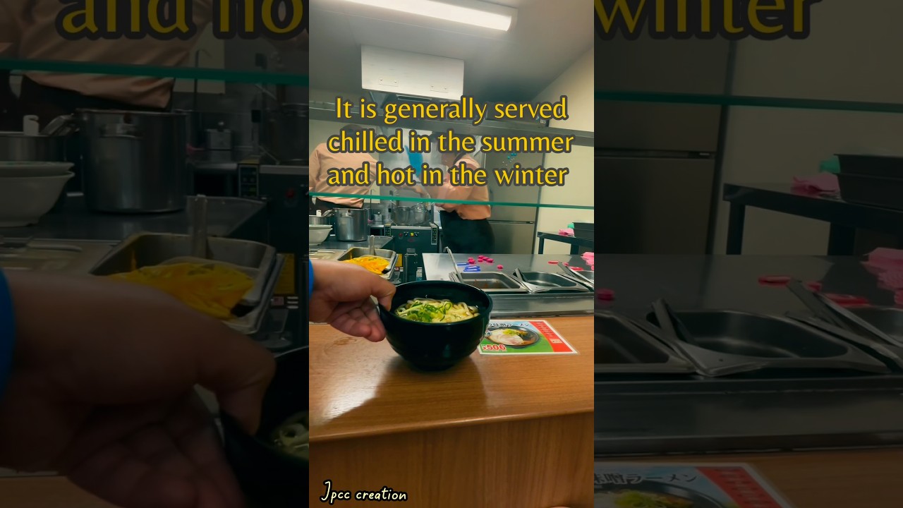 Japanese Kake Udon 🥢🍜🍲😋🇯🇵 