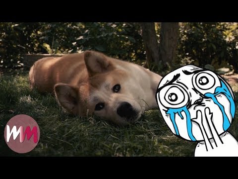 heartwarming dog stories