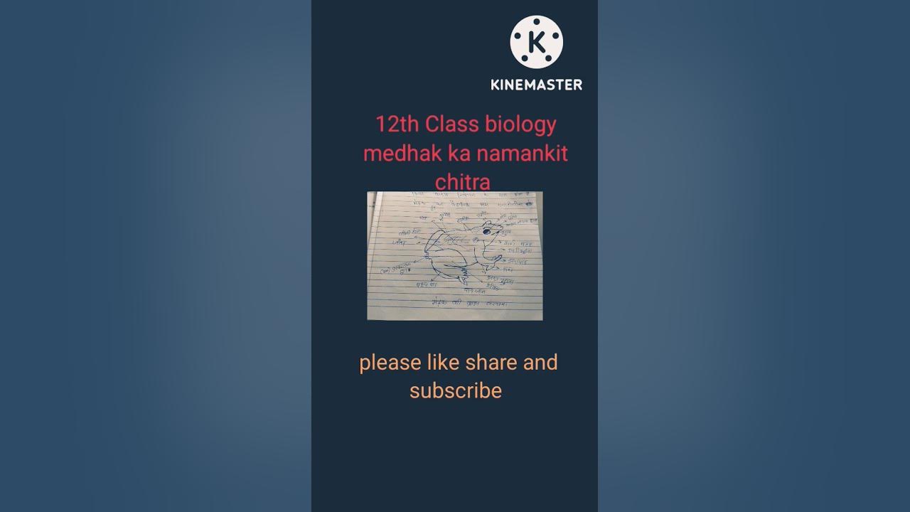 12th class biology medhak ka namankit Chitra.vvi YouTube