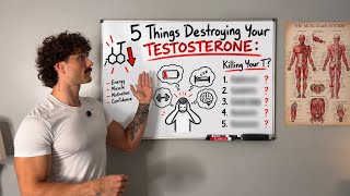 5 Things DESTROYING Your Testosterone (Stop Doing These)