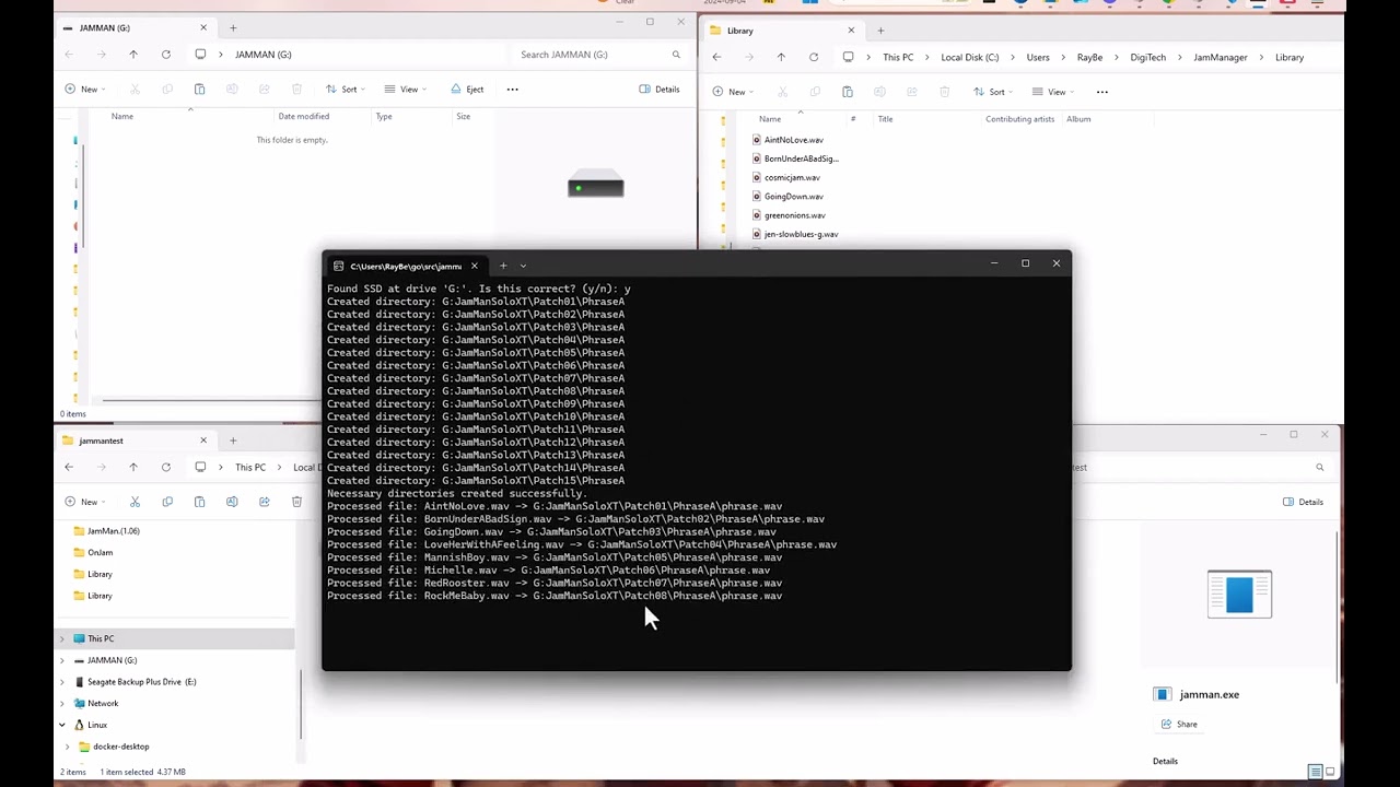 Easily Manage DigiTech JamMan XT & Stereo on Windows 11 | Import WAV Files & Customize Tracks