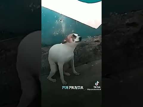 استنى استنى استنى ده انتهت هنا تتهني زياد