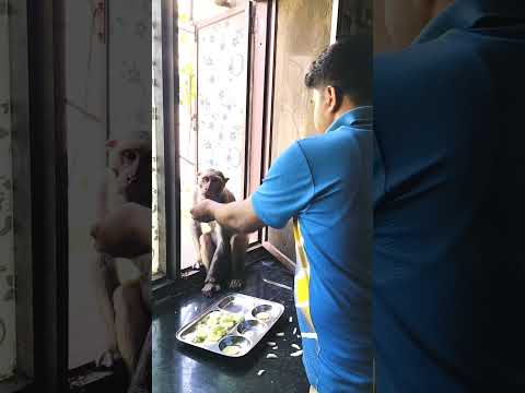 पता नहीं किस रूप में आकर नारायण मिल जाते हैं 🙏#shorts #viral #trending