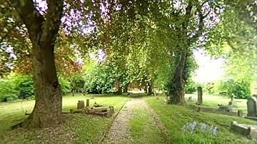 VR180 mesh projection test.