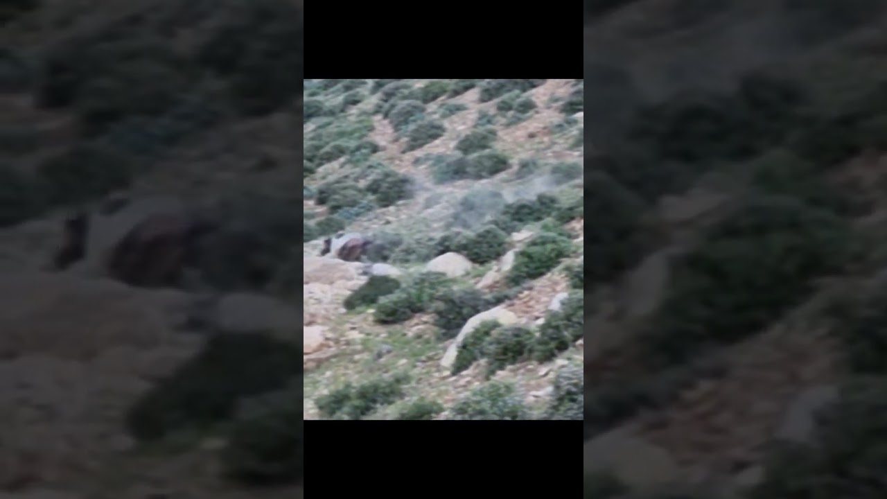 Nomadic migration in the heart of the mountains: fight against nature for survival mountains