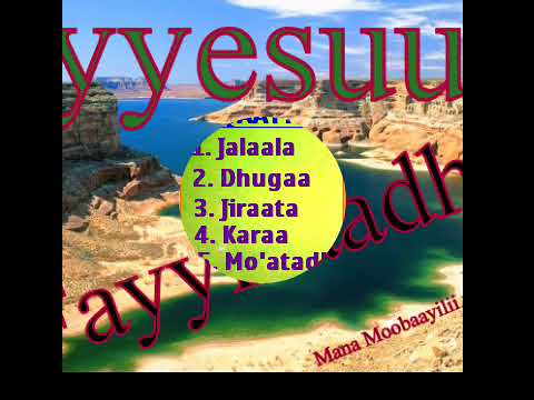 Galatoomi Gooftaa Koo