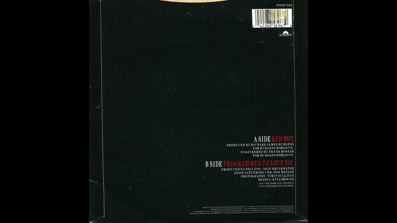 PRINCESS / PROGRAMMED TO LOVE YOU / 1987 / B-SIDE / 7'' VINYL / 80'S