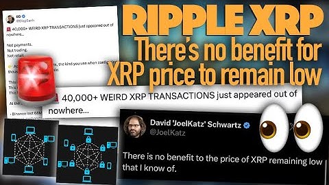Ripple XRP: No Benefit For XRP Price To Be Low + What Are These 40k “Weird” Transactions On XRPL?