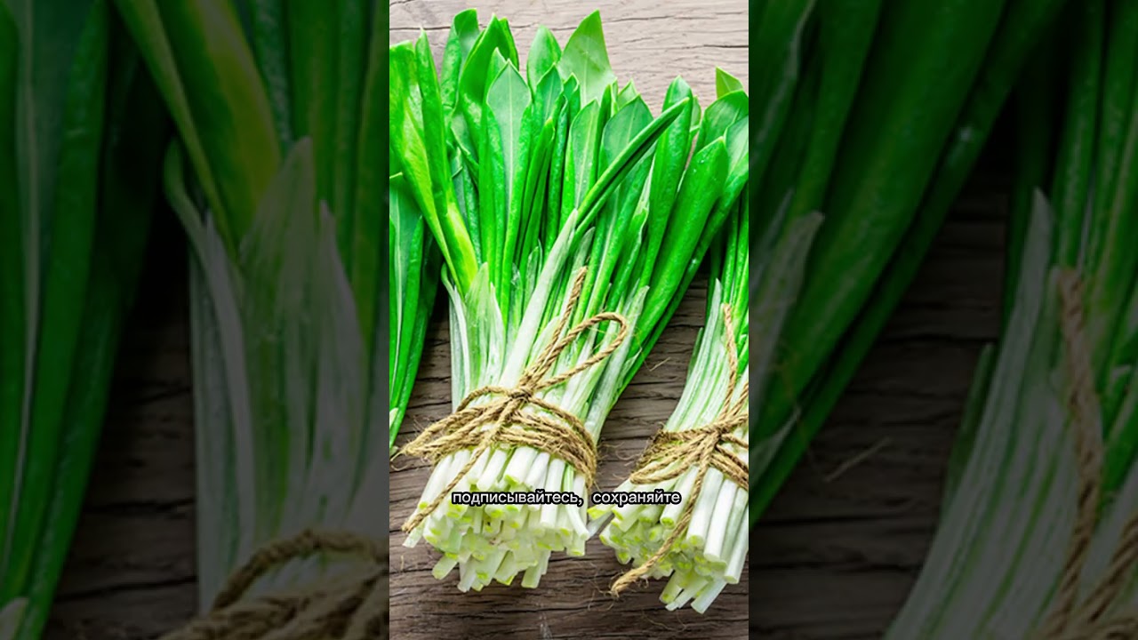 Топ 3 продукта богатые витамином А (Ретинол)