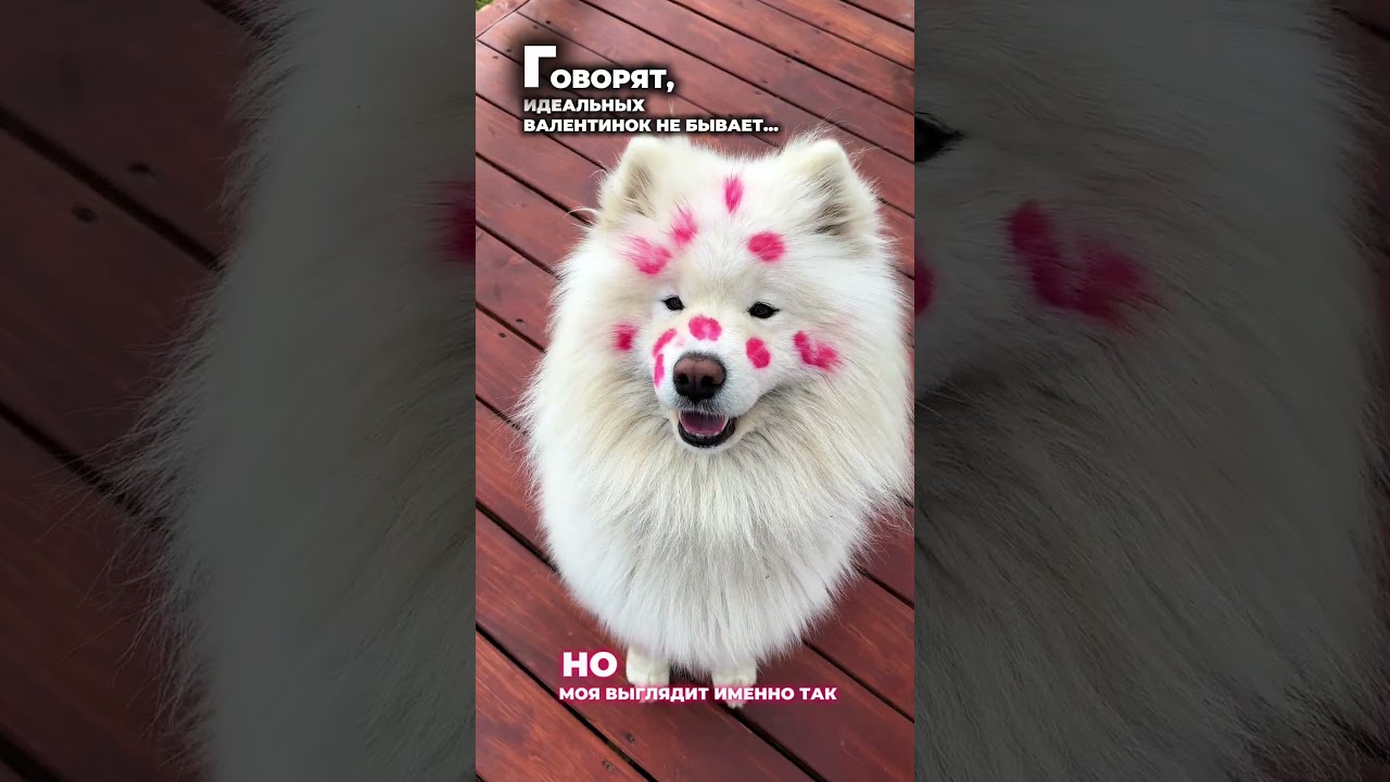 Идеальная валентинка существует.Немного слюнявая. Зато на 100% искренняя.