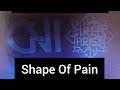 Favorite Guitar Riff 86 - Shape Of Pain