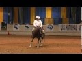 Arabian reining  kevin simmons riding oasis zee zee top