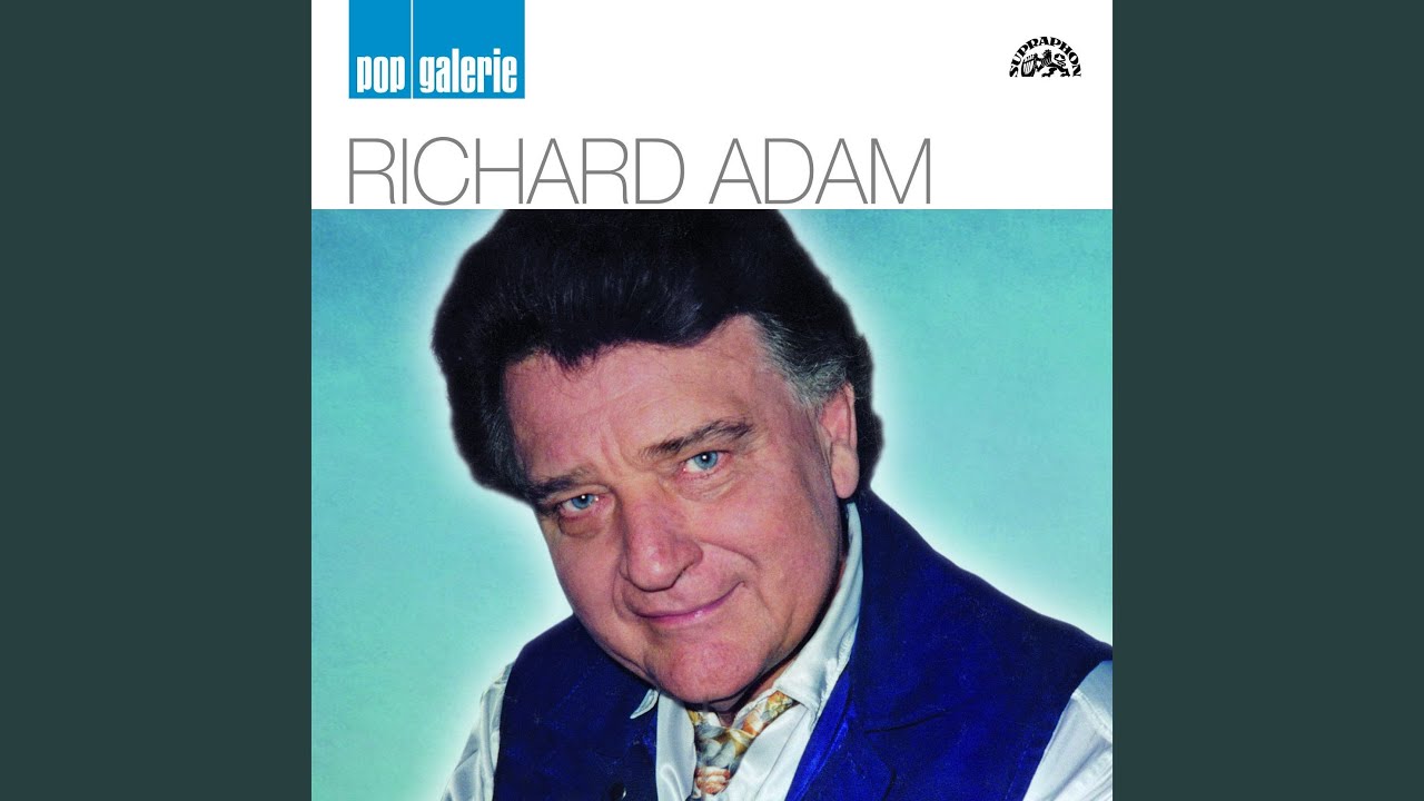 Šestnáct se víckrát nevrátí (Du kannst nicht immer siebzehn sein)