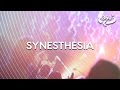 Hearing Color, Seeing Sound. This Is Synesthesia. (360 Video)