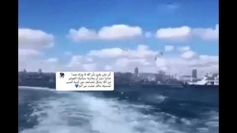 تلاوة للشيخ ماهر المعيقلي