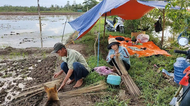 Cắm câu đầu mùa mưa Cá trê trắng nấu canh chua lá me