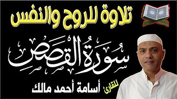 سورة القصص تلاوة من القلب لتغذية الروح