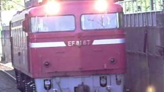 ＥＦ８１－８７単機　　北府中通過