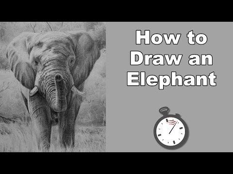 how-to-draw-an-elephant-in-pencil-time-lapse-drawing-tutorial