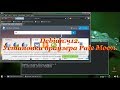 Debian.ч12. Установка браузера Pale Moon.