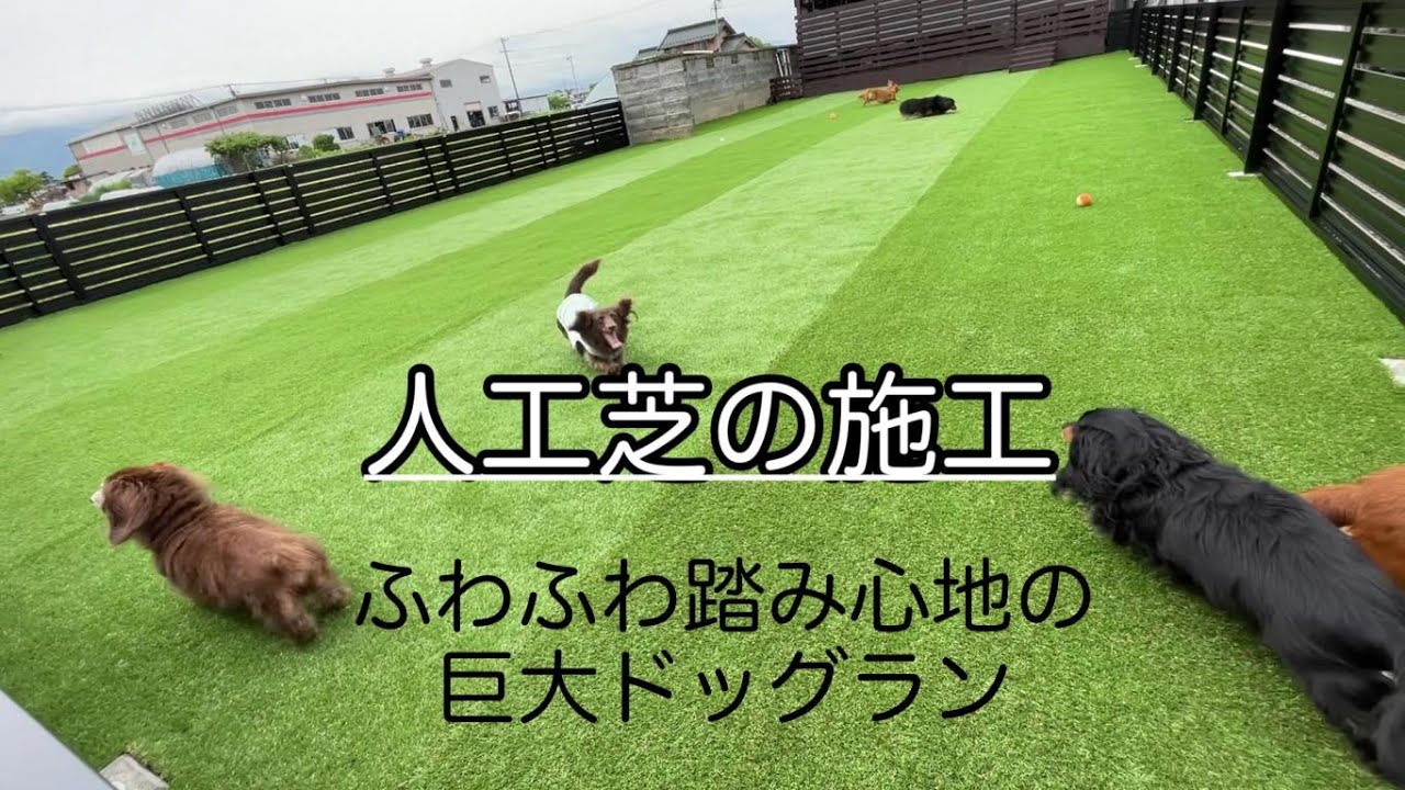 【DIY可能】芝目を交互に張るのには理由を知っていますか？外構業者が作る人工芝の巨大ドッグラン