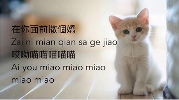 MEOW MEOW SONG WITH LYRICS!🤩