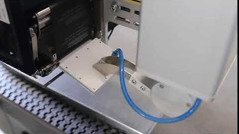 Weber LA4050B Electric Swing Arm - Print Apply System