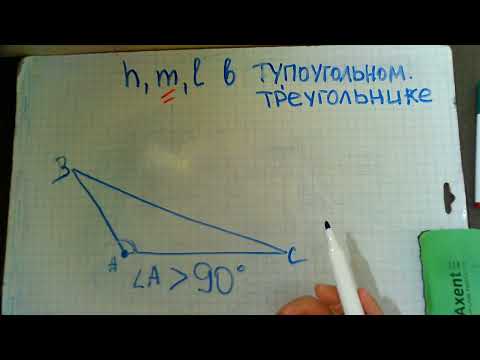 Высота  медиана биссектриса в  тупоугольном треугольнике