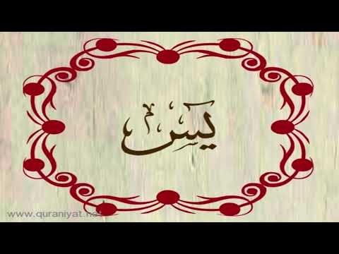 القارئ عمير شميم سورة يس