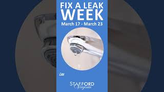 Famous Fix a Leak Week! Net Worth