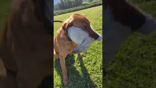 His brain is like dont eat it, dont eat it 🤣