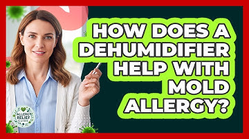 How Does A Dehumidifier Help With Mold Allergy? - Allergy Relief Guide