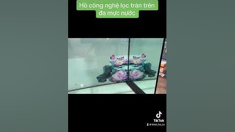 Hồ công nghệ mới lọc tràn trên