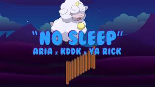 ARIA x KDDK x Ya Rick - NO SLEEP (Official Lyric Video)